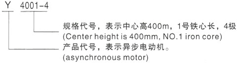 西安泰富西玛Y系列(H355-1000)高压ZSN4-280-091B三相异步电机型号说明